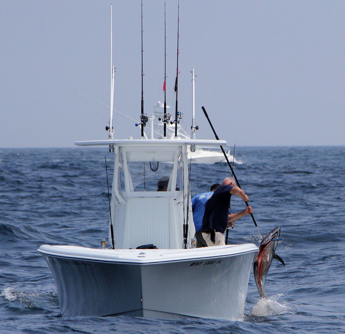 Coimbra Wreck Long Island, New York July 2013 Bloodydecks